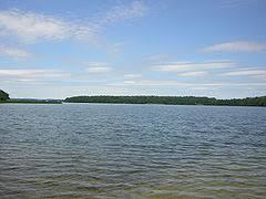 Dąbrowa Wielka